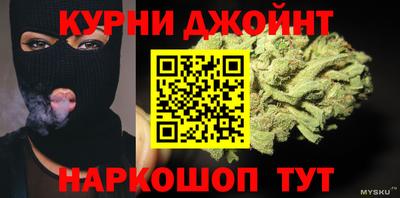 гашик Кинель