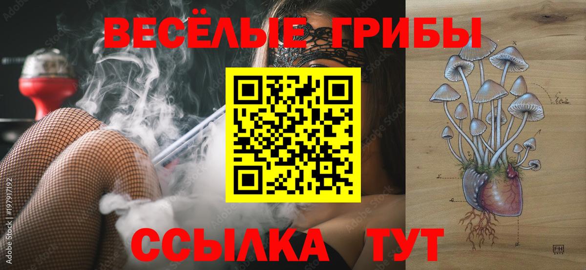 Псилоцибиновые грибы мицелий Ковров